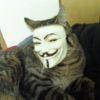 6aaa9b cat with anonymous mask